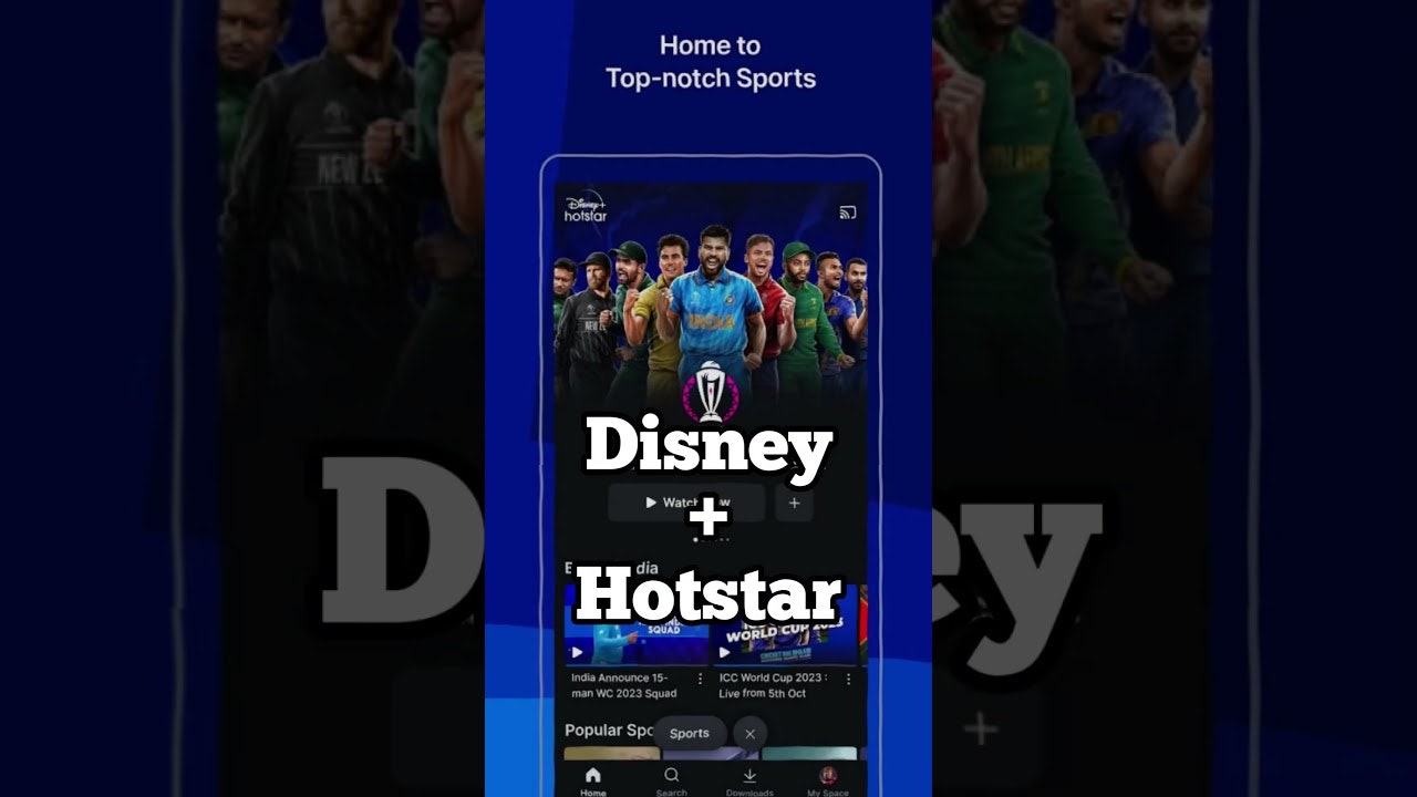 Build a Cricket Live Streaming App gallery image
