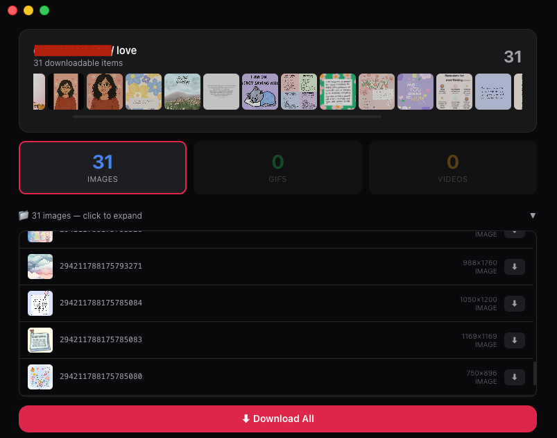PinBoard - Pinterest Board Downloader - Screenshot 2 showing product features and functionality