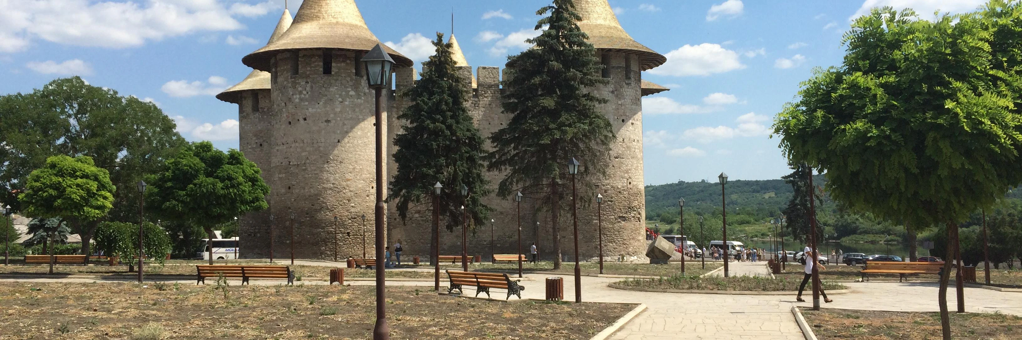 Dmitri Pavlutin cover