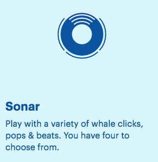 Whale Synth gallery image