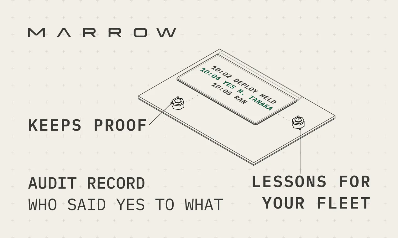 Marrow gallery image