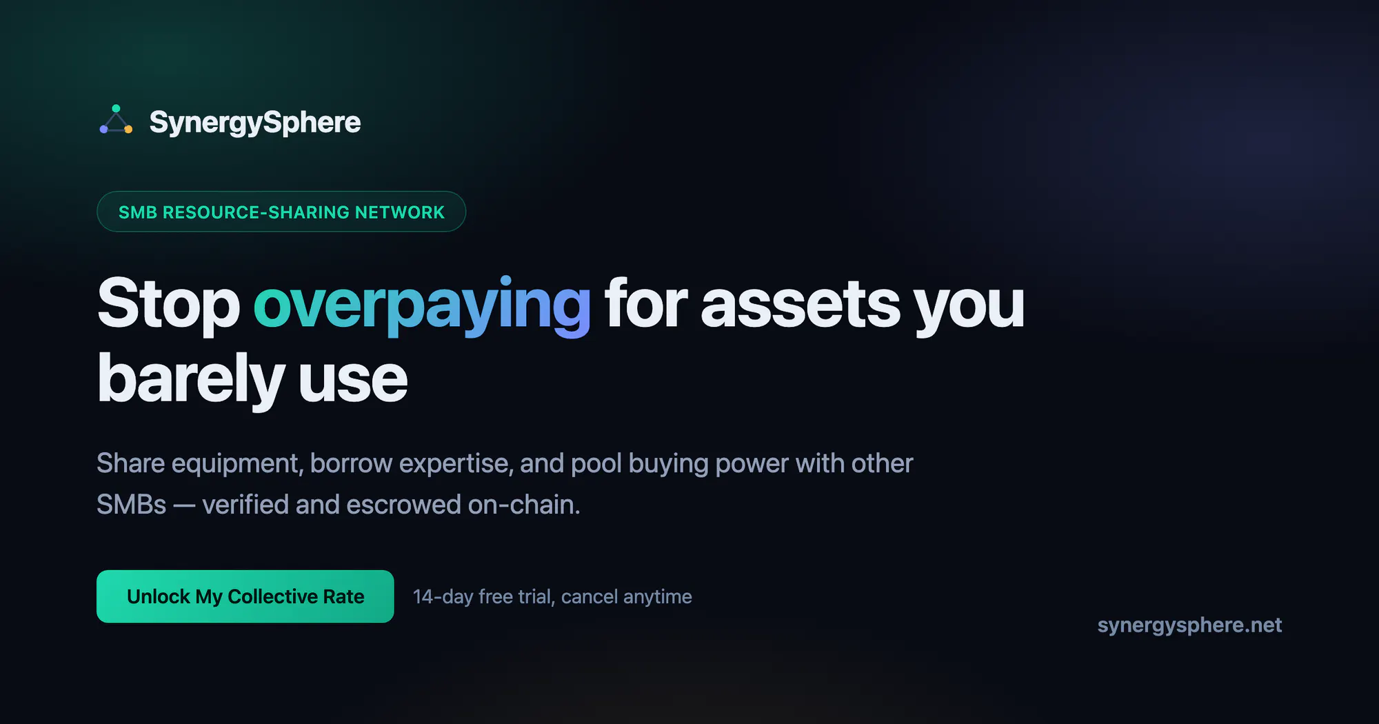 SynergySphere gallery image