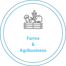 Dhaxle gallery image