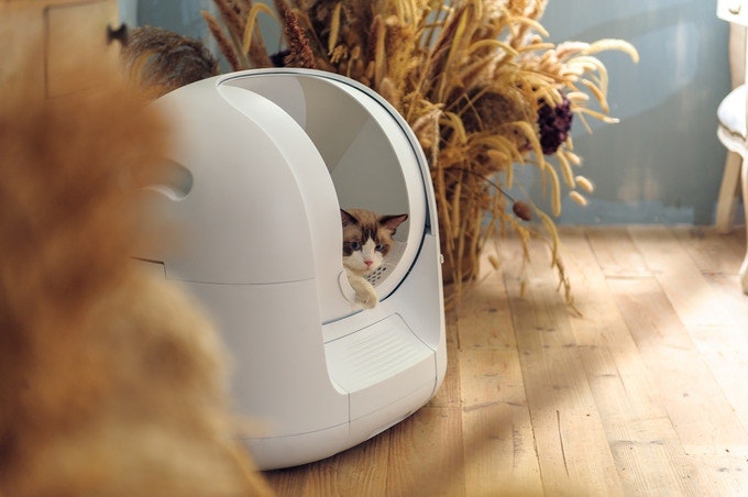 automatic cat potty