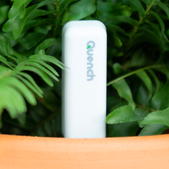Quench - A unique voice for your plant