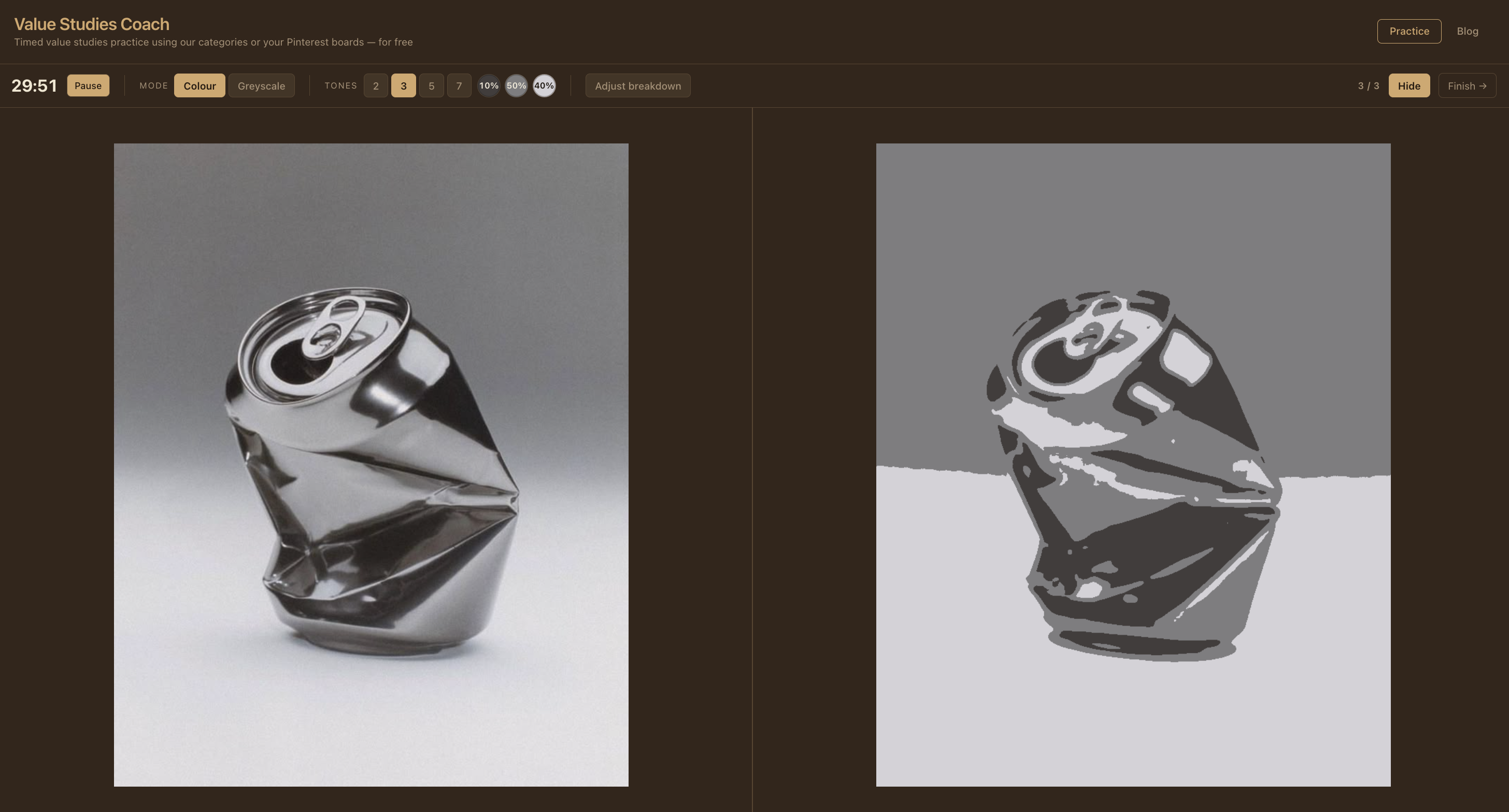 Value Studies Coach gallery image
