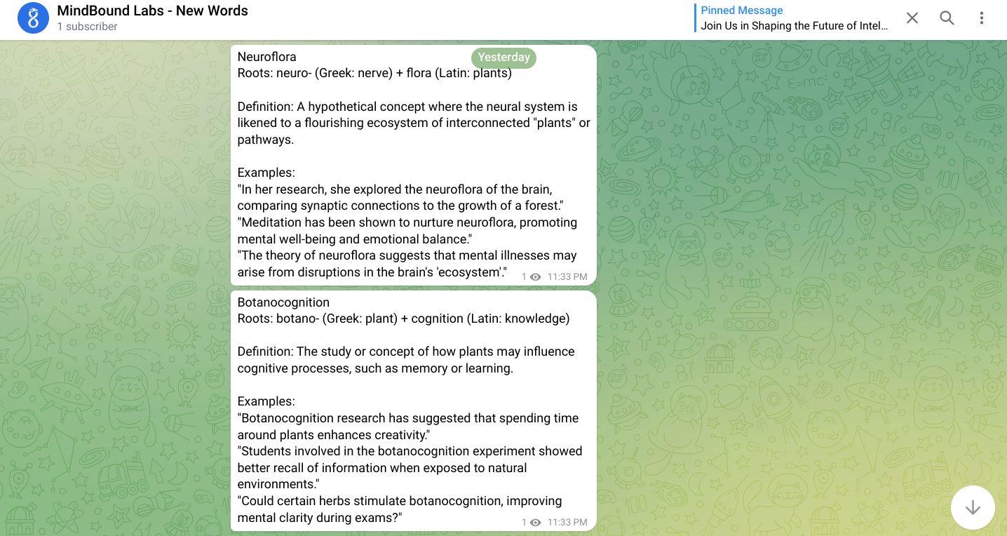 MindBound Labs gallery image