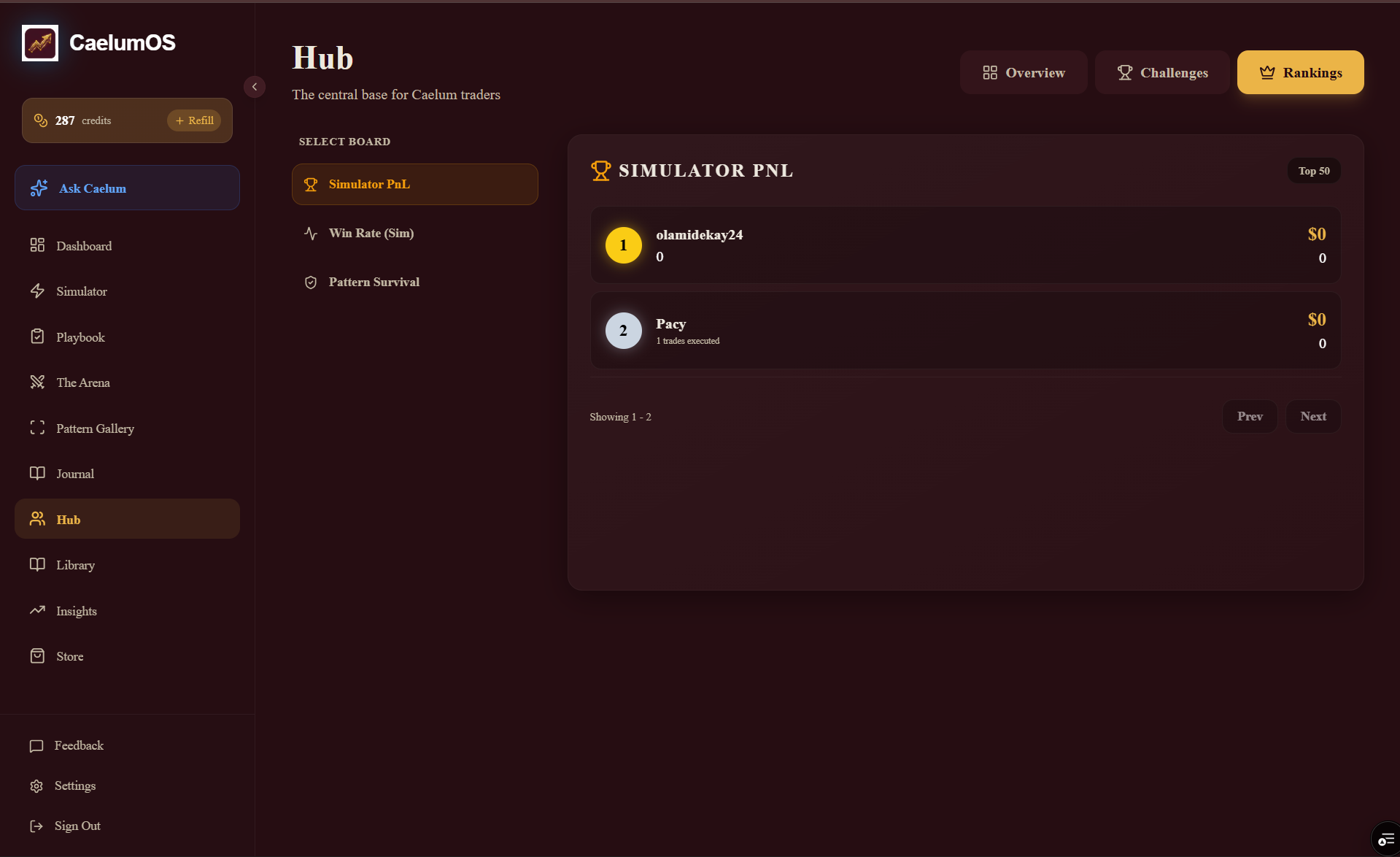 CaelumOS gallery image