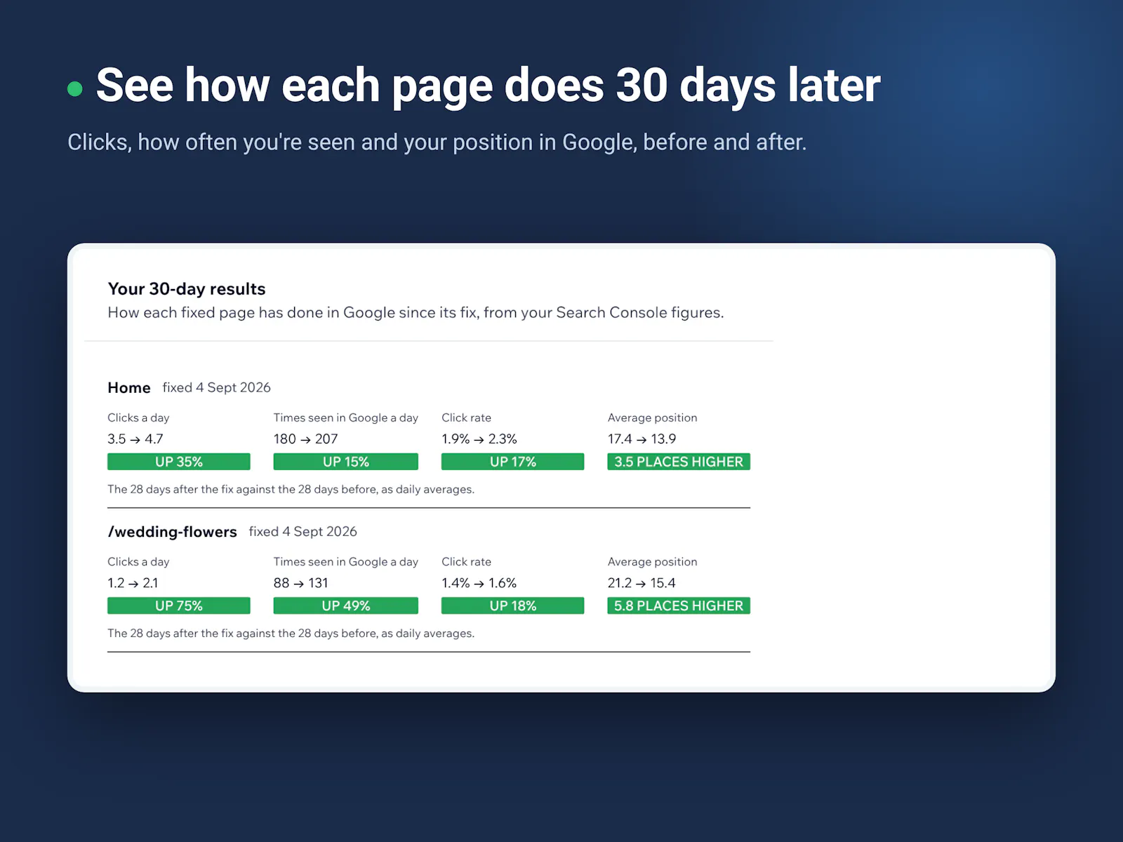 SEO Fix in a Box screenshot 2