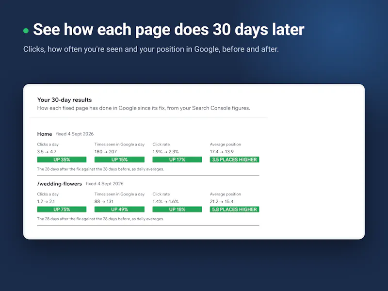 SEO Fix in a Box screenshot 2