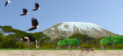 Ostrich gallery image