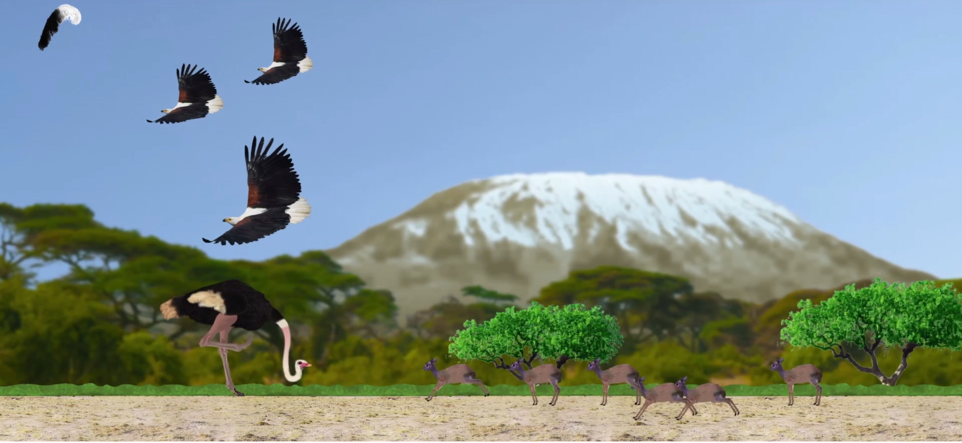 Ostrich - Screenshot 4 showing product features and functionality