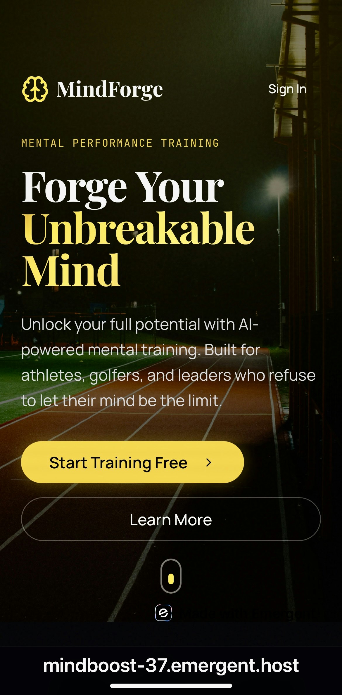 Mental Performance Training gallery image