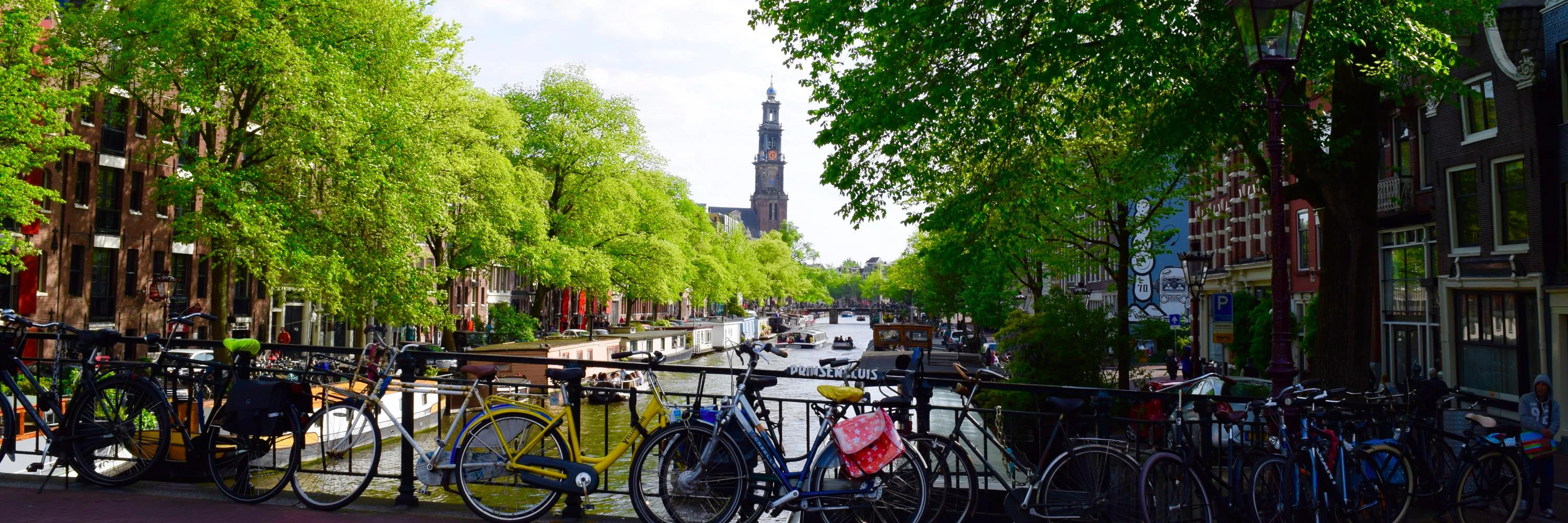 Abhilasha Chauhan cover