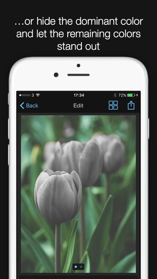 Show & Hide gallery image