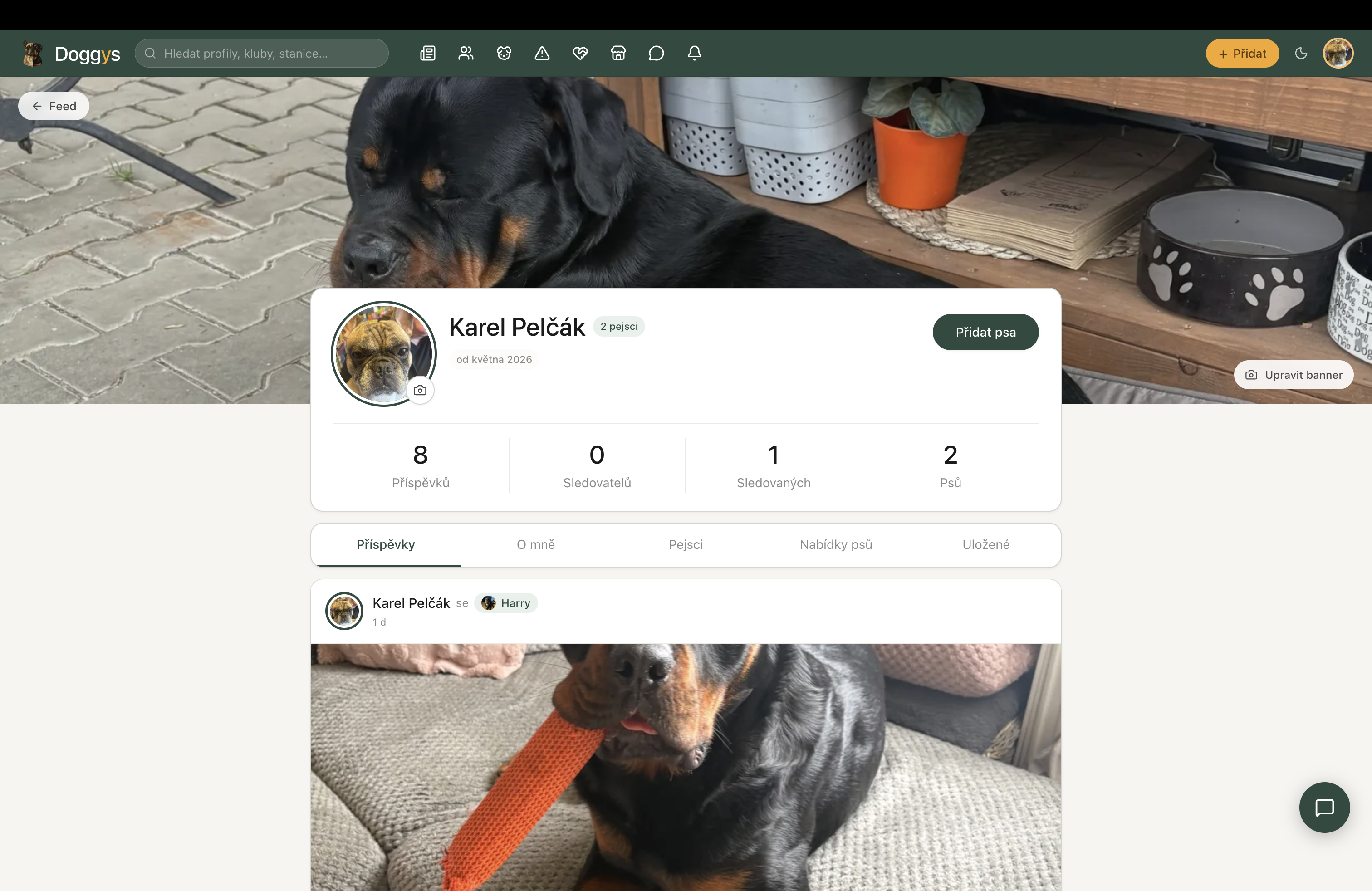 Doggys.net gallery image
