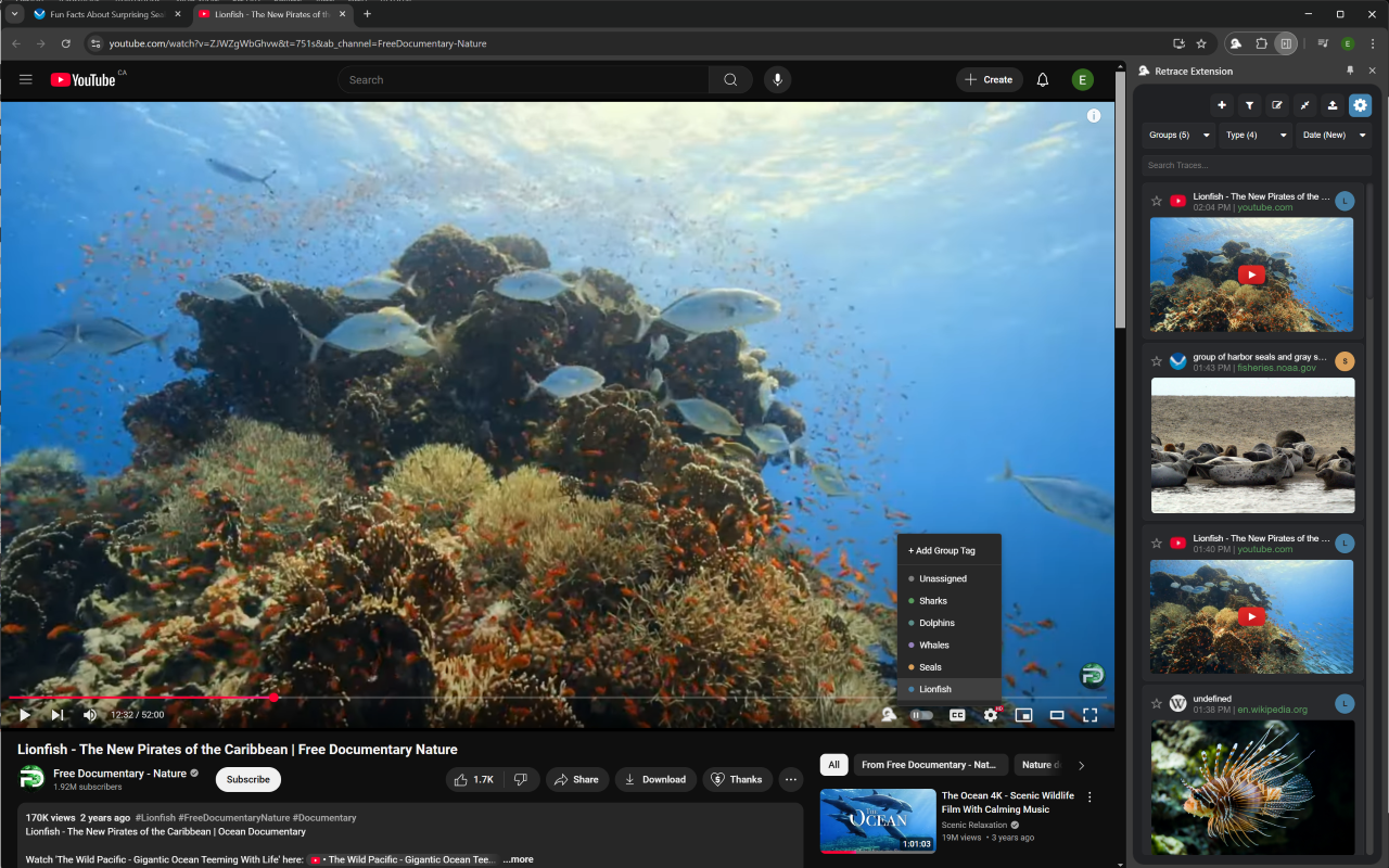 Extension de retrace media 5