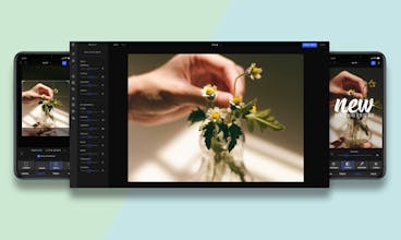PhotoEditor SDK for Web gallery image