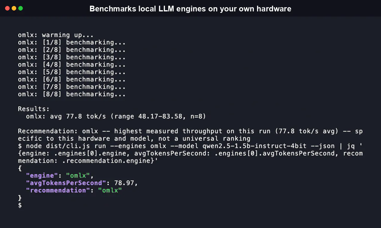 Inferbench gallery image
