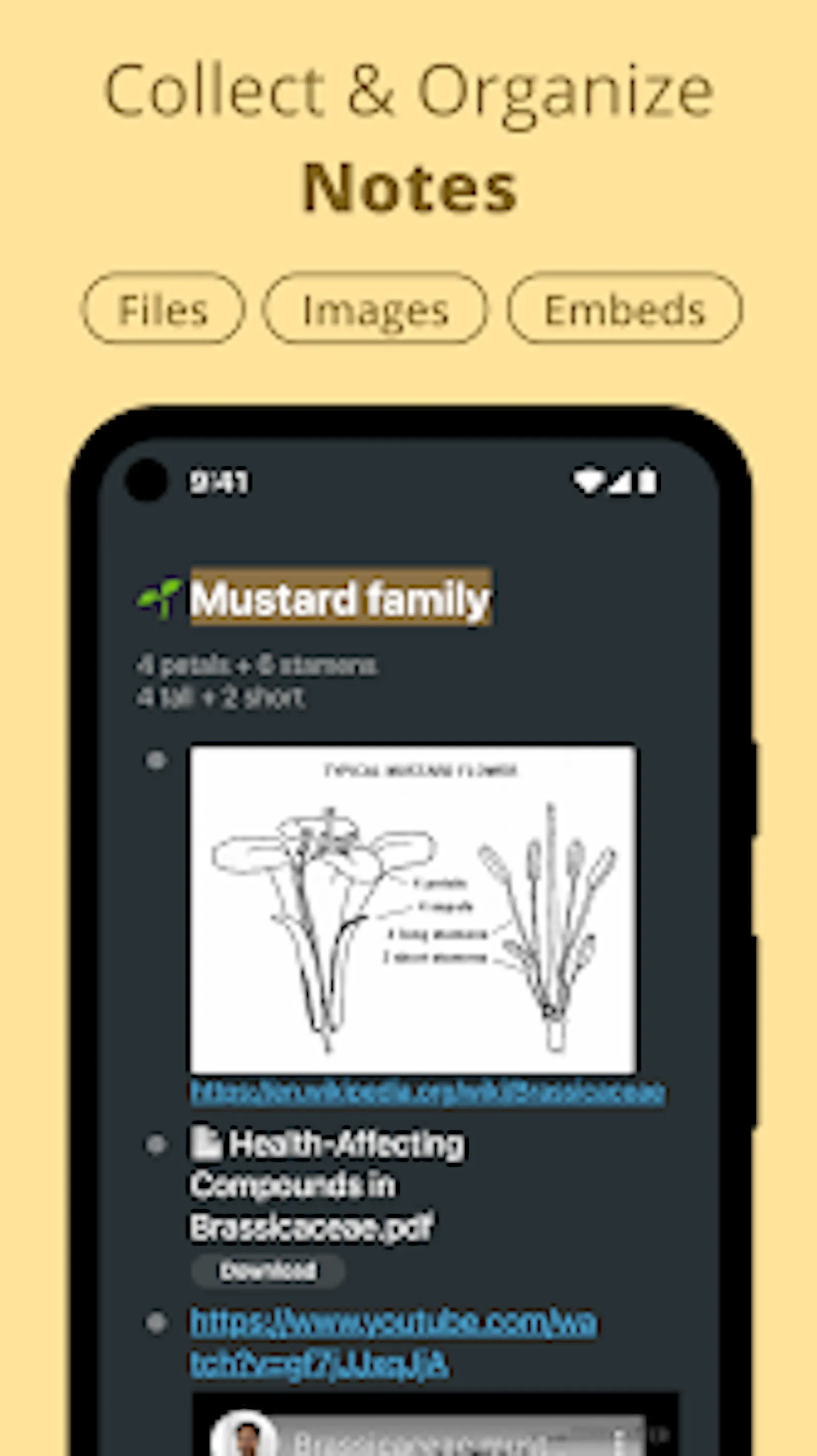 Workflowy screenshot 1