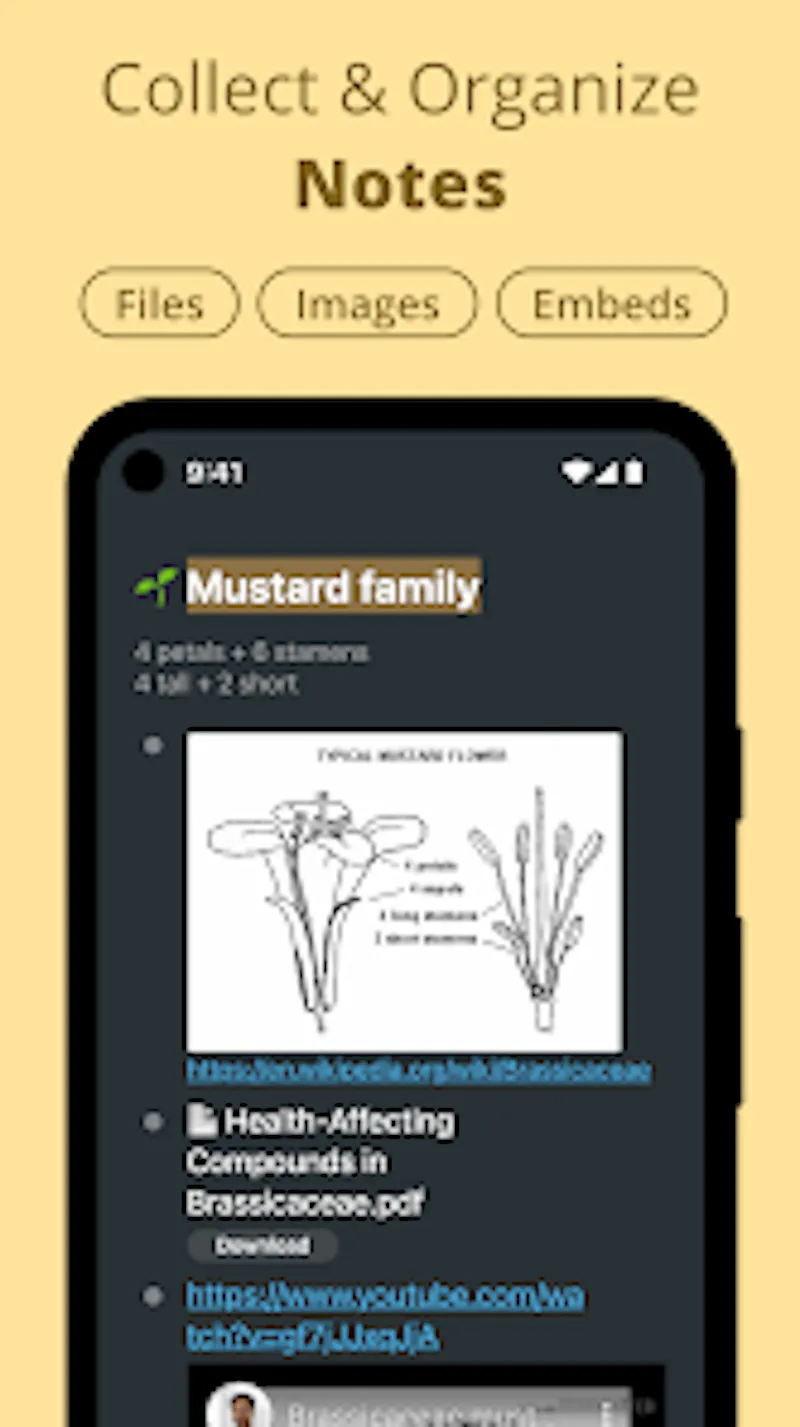 Workflowy screenshot 1