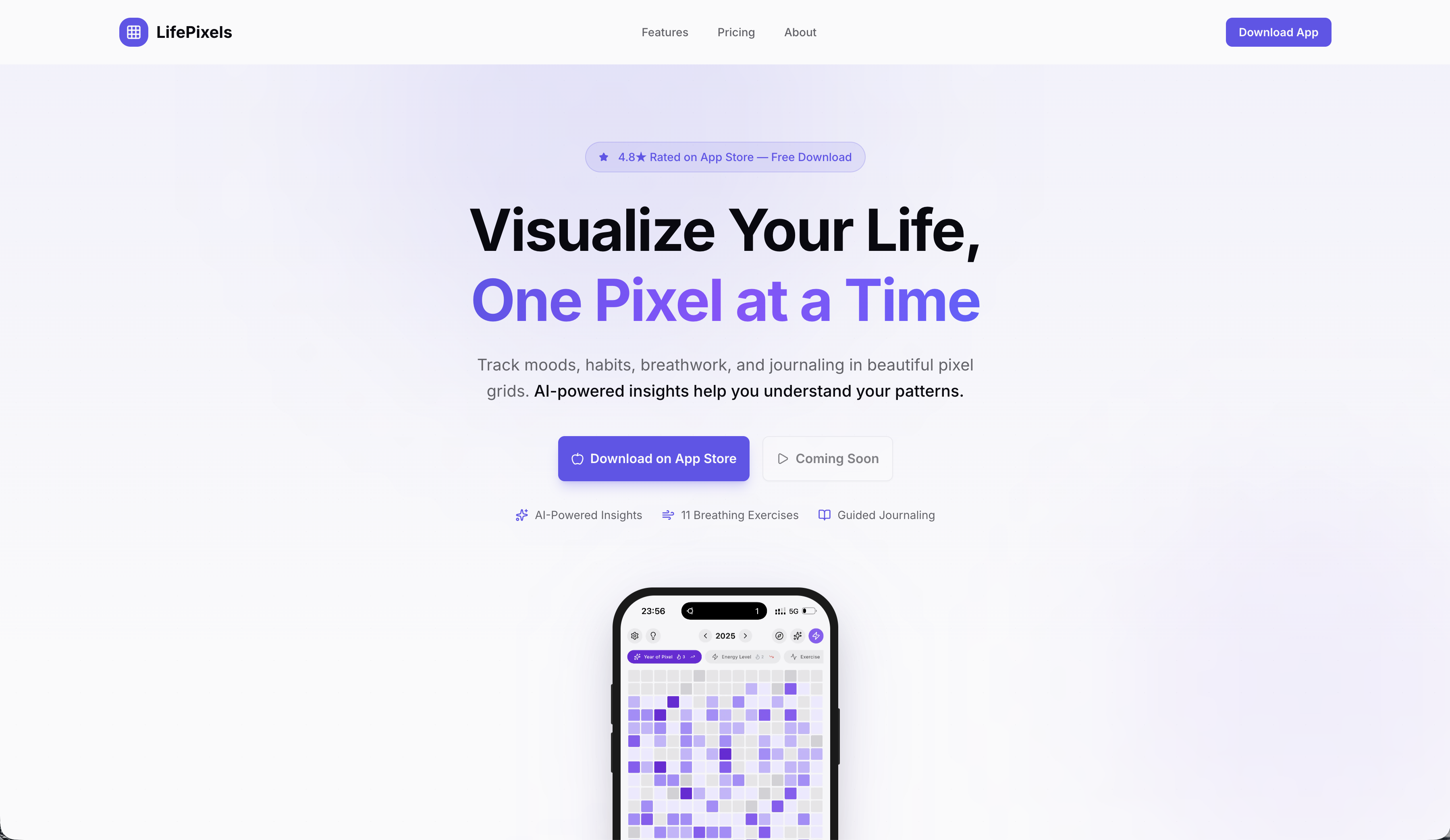 LifePixels gallery image