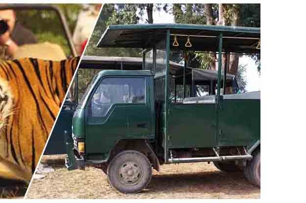 Corbett Canter Safari