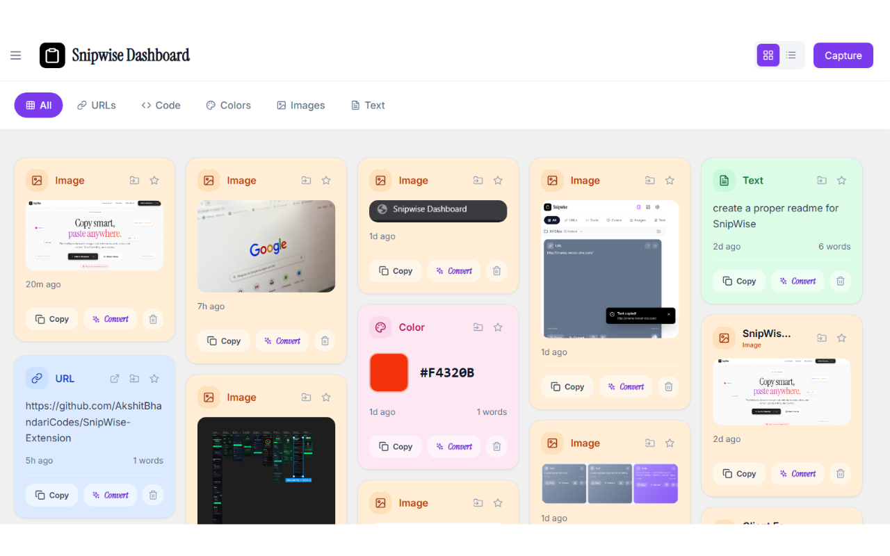 SnipWise - Screenshot 2 showing product features and functionality