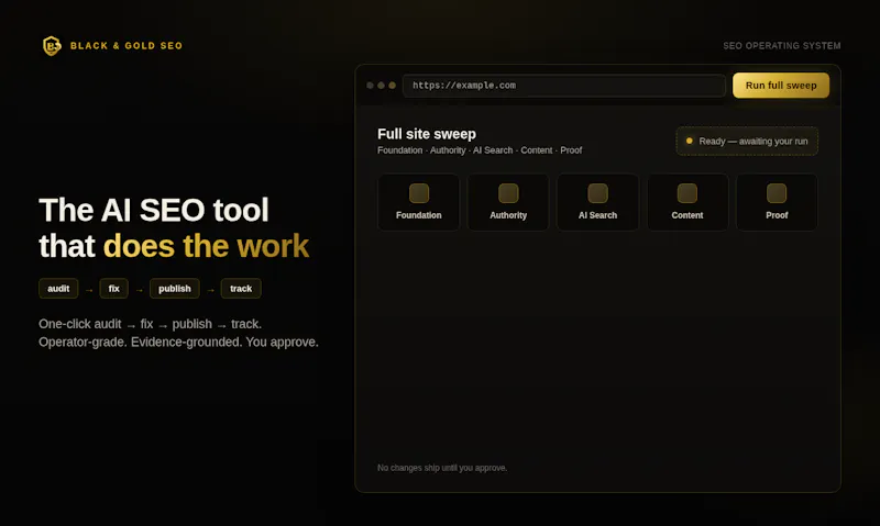 Black & Gold SEO screenshot 2