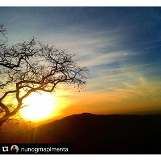 MORECAST gallery image