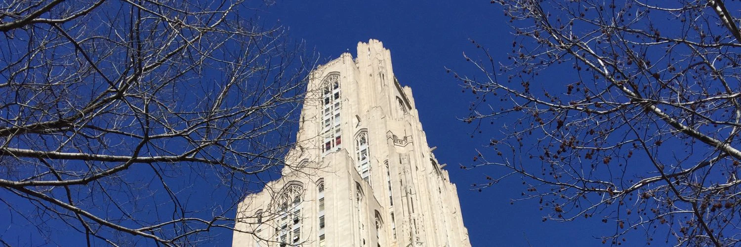 Sloane Davidson cover