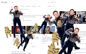 Elon's Extension 3.0: Dogecoin Edition gallery image