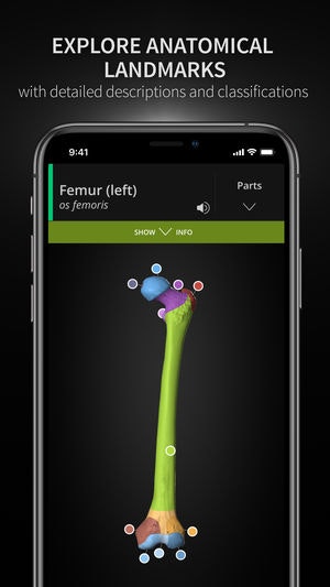 Anatomyka gallery image