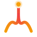 Track Every Job Application in One Place