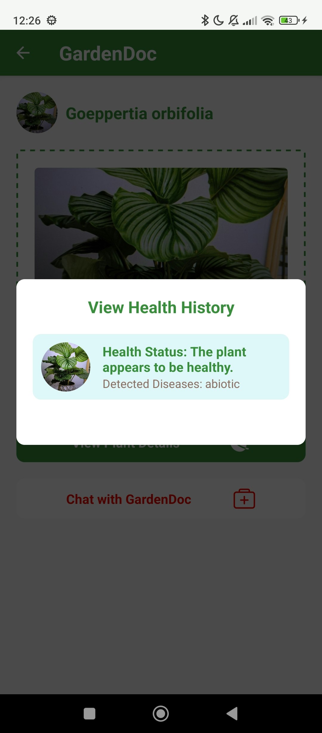 Mídia 13 de Plantar em casa - Mantenha suas plantas saudáveis com o melhor aplicativo de cuidados.