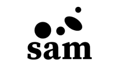 SEO Company in California 