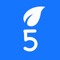 ABC Five