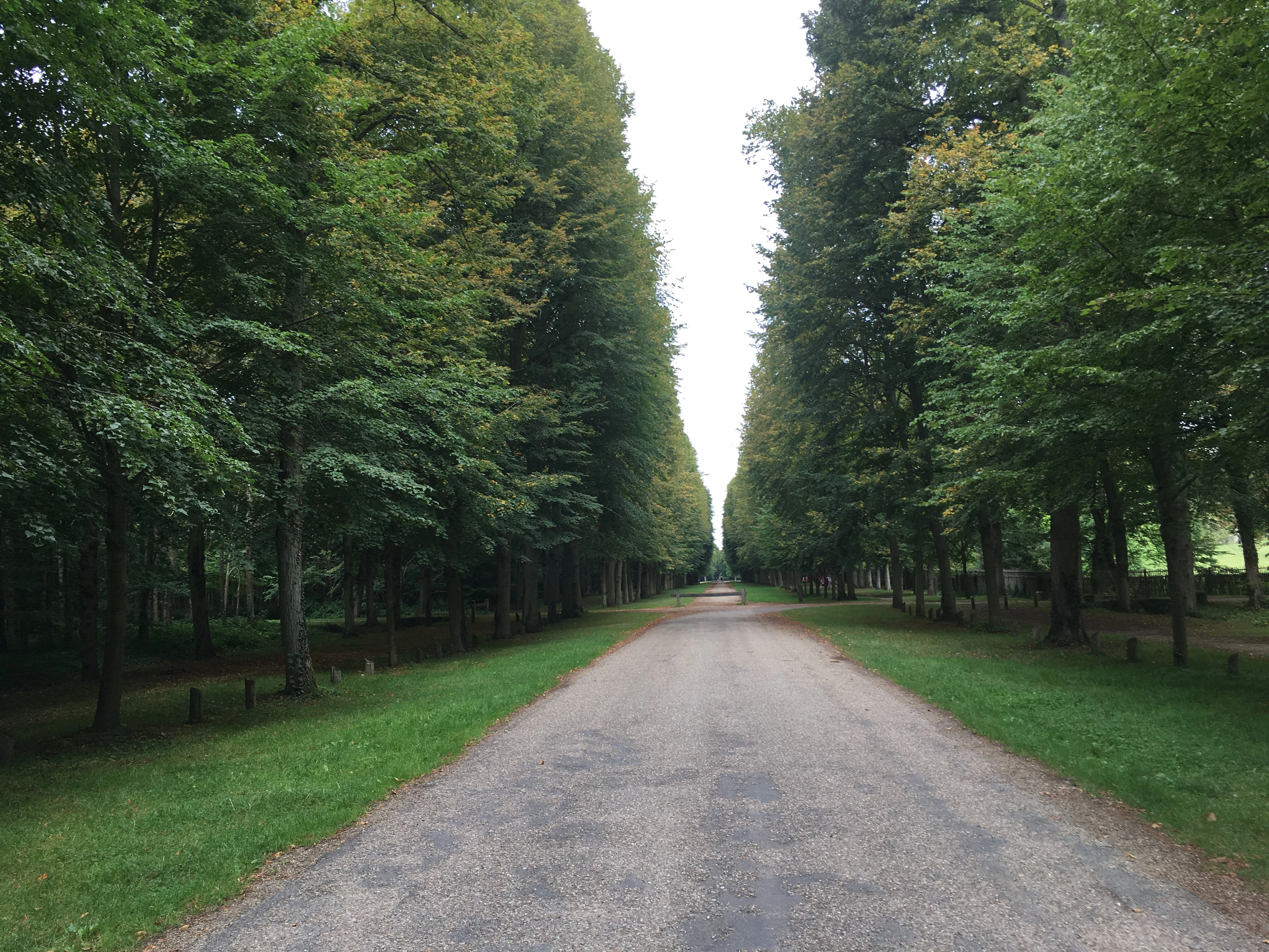 Zachary Paul Jensen cover