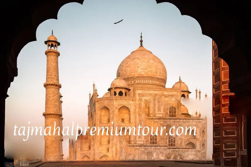 https://tajmahalpremiumtour.com/ screenshot 1