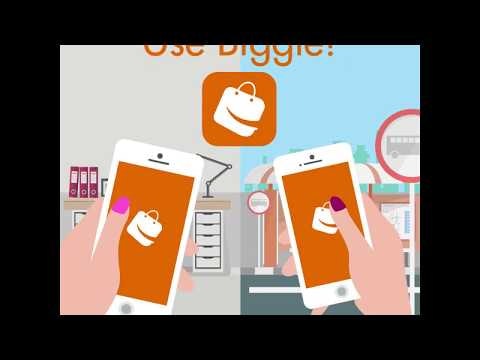 Biggle gallery image