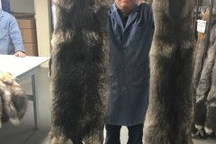 曬黑皮毛的過程：技術。 media 1