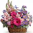 Flowersnext