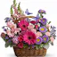Send Flowers To UAE