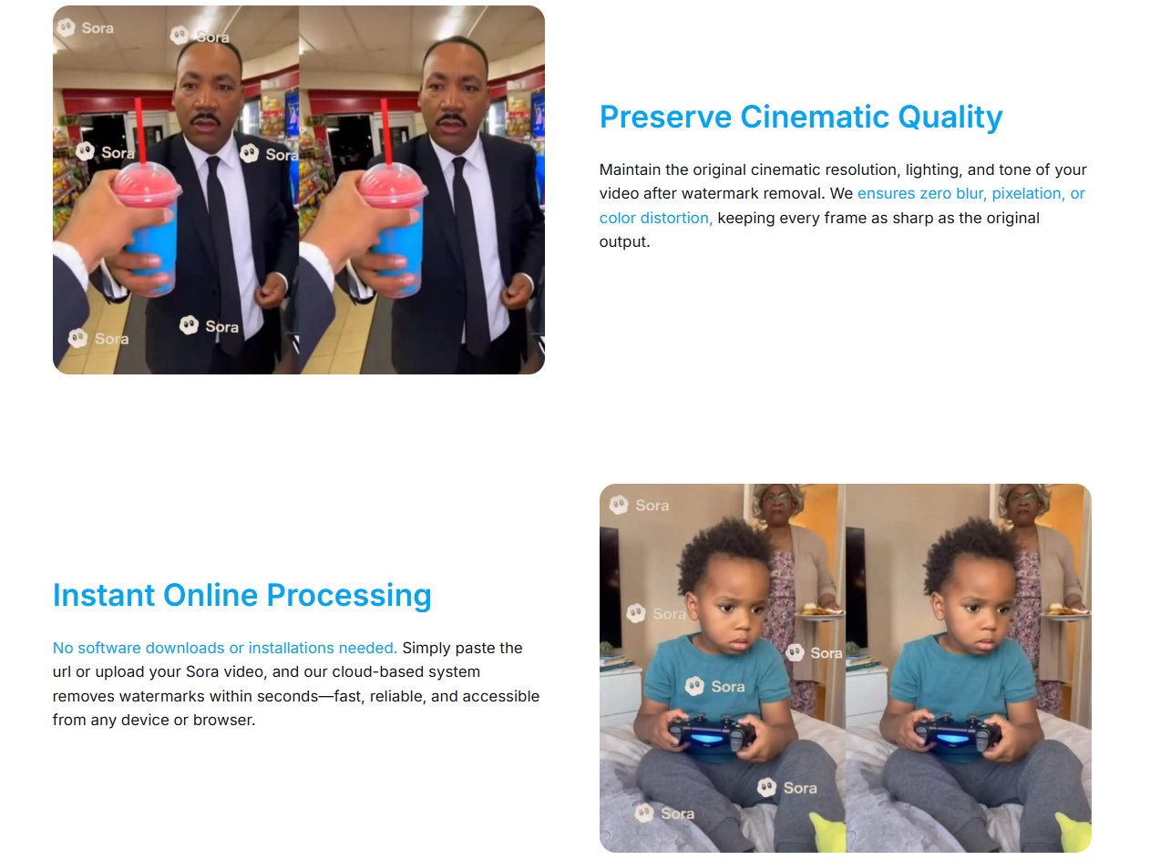 Sora Watermark Remover gallery image