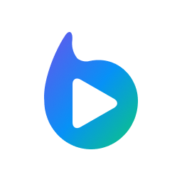 Braiv Player logo