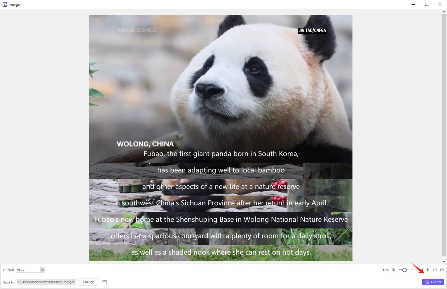 Imerger media 3