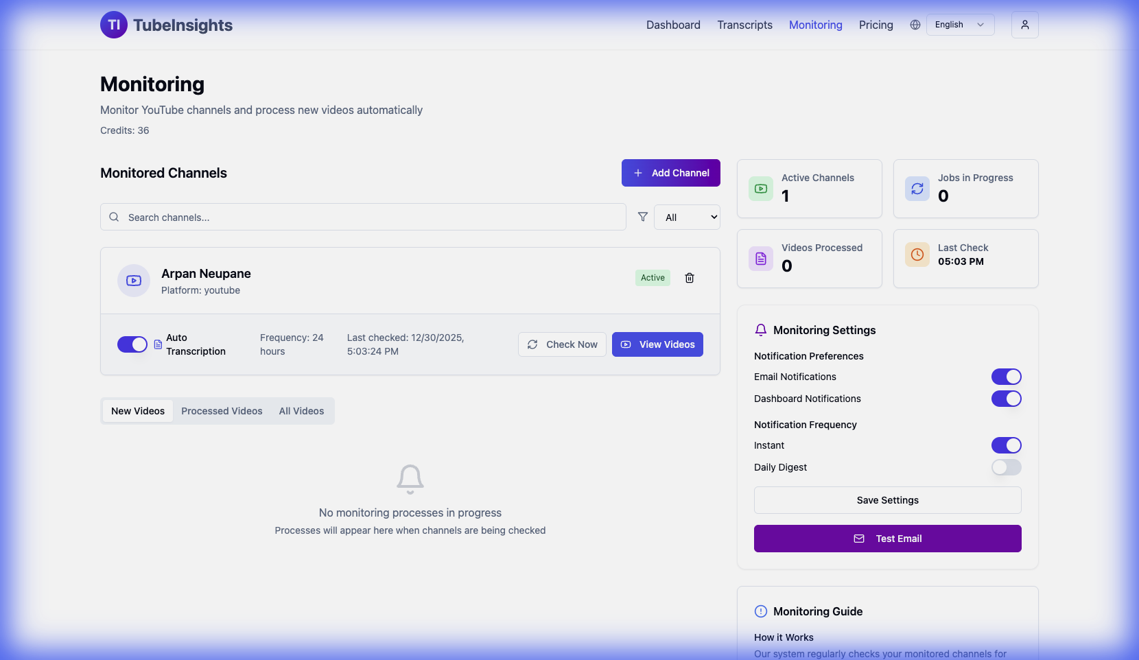 Tube Insights - Main product screenshot demonstrating key features and user interface