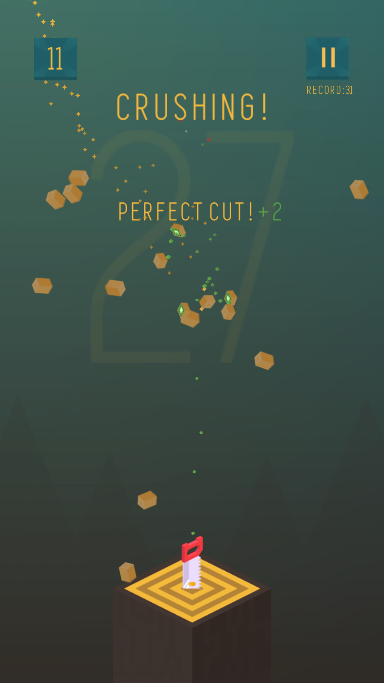 Knife Fruit Challenge gallery image