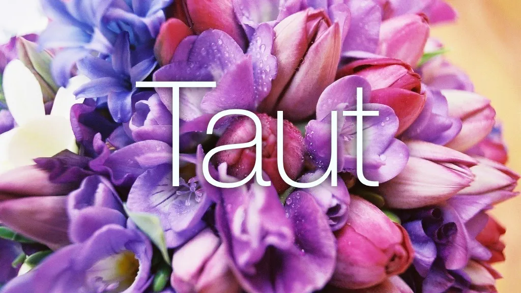 Taut