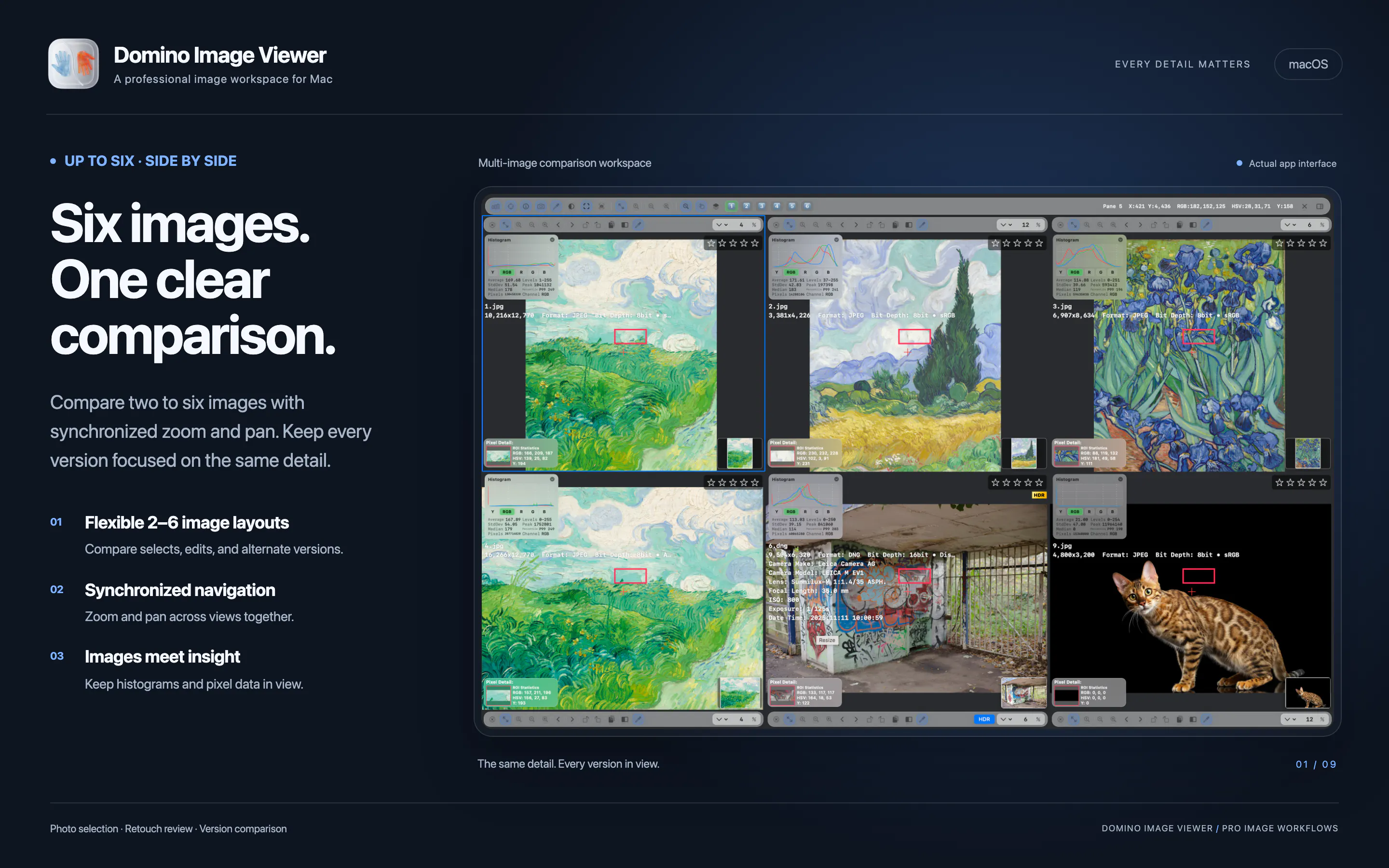 Domino Image Viewer gallery image